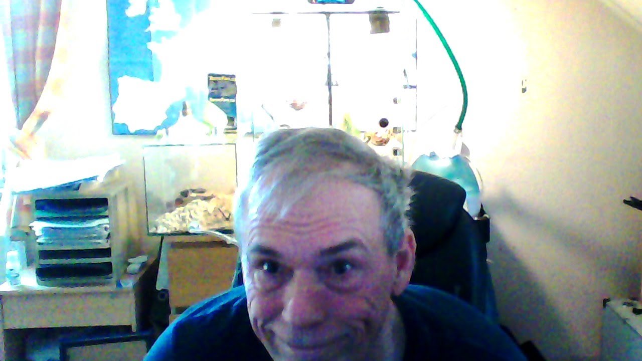 Test Ameisen