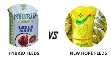 The best poultry feed in Nigeria?