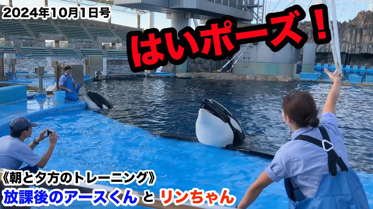 はいポーズ！放課後のアースくんとリンちゃん 2024年10月1日号【名古屋