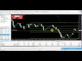 NO LOSS Forex hedging strategy - YouTube