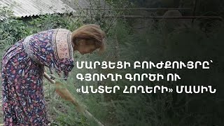 «Գյուղացին 5-ից ուշ վեր չպիտի կենա». առօրյա գործն ու տուրիզմը՝ Լոռու Մարցում