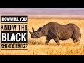 Black rhinoceros || Description, Characteristics and Facts!