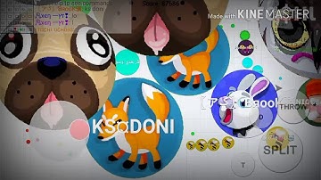 Blob|Solo Destroying Teams