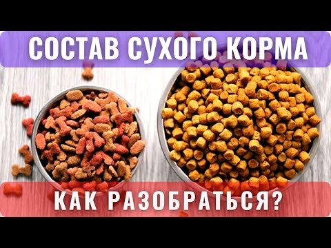 🐕📝🐾 Состав сухого корма для собак: как разобраться?