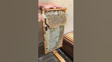 Uncapping Honey Frames