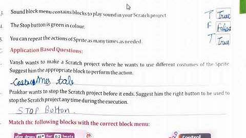 Question Answer Chapter 8 Class 3 Simple Movement of Spirit (Class III)Back Exercise Scratch
