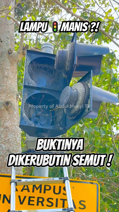 LAMPU LALU LINTAS 🚦 INI MANIS? BUKTINYA DIKERUBUNGI SEMUT! #trafficlight #lampumerah #apill #dishub