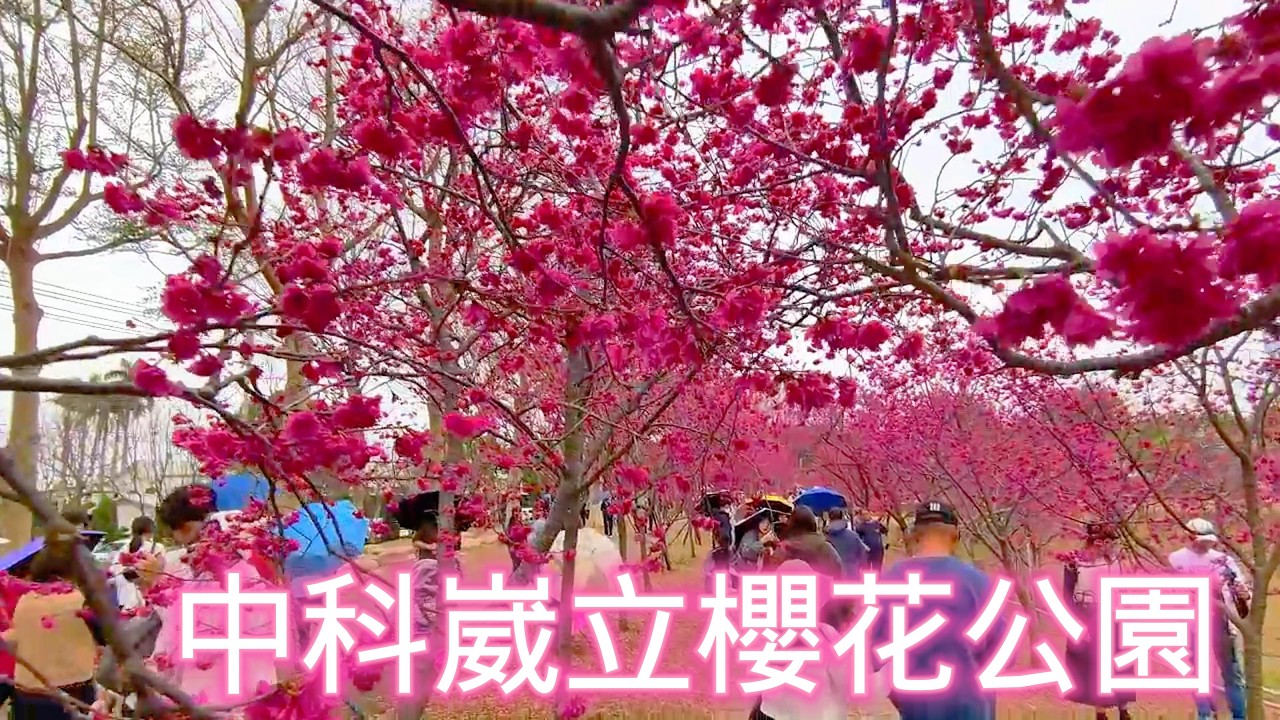 中科崴立櫻花公園.