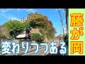 藤沢市藤が岡 2020年11月中旬撮影