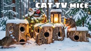 Ultimate Cat TV: A detailed 4K display highlighting rapid mouse motions throughout the game.