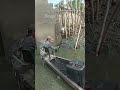 May Biglang Umangat Fishing Adventure Electricfishing Shortvideo May Biglang Umangat Fishing Adventure Electricfishing Shortvideo