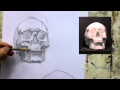 Обучение рисунку. Портрет. 20 серия: рисунок черепа в 2 ракурсах, 2 часть.