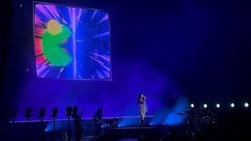 MARINA - Hermit the Frog - Live in New York 9/25/25