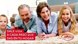 Transforma tu hogar con estilo y confort. 🏠