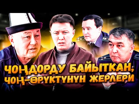 Video: Өрүктү кыюу боюнча кеңештер - Өрүктү кантип жана качан бутоо керек