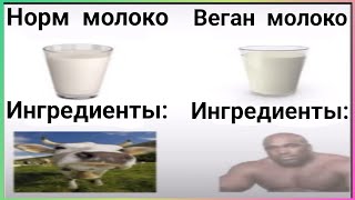 :   |  