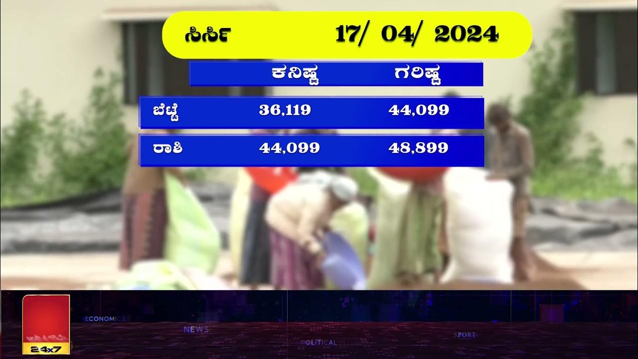 17 04 2024 SSB Tech Channagiri Areca Nut Price 17-04-2024-ssb-tech-channagiri-areca-nut-price