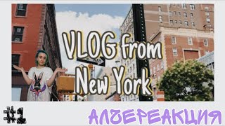 АлчеРЕАКЦИЯ Illia - VLOG FROM NEW YORK | vlog #1