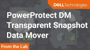 How to use Transparent Snapshot Data Mover (TSDM) with PowerProtect Data Manager 19.9