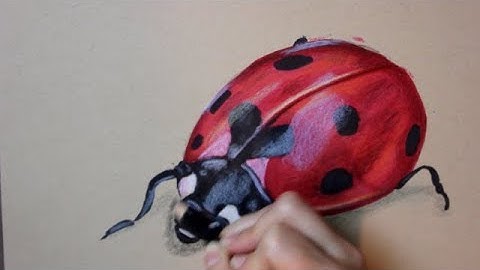 How To Draw A Ladybug with Colored Pencils & Marker || Lysa Roberts Art