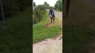 STIHL FS 310