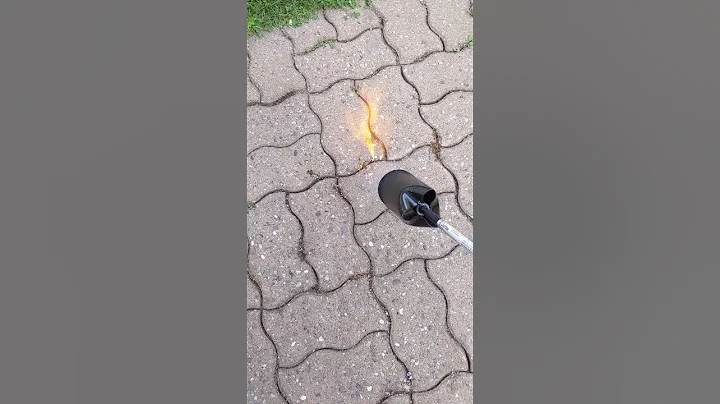 Get rid of weeds between pavers with propane torch. #shorts