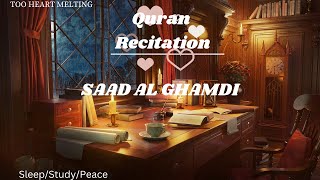 Download lagu Para 2 | Qari Saad Al Ghamdi | Peaceful Recitation | Quran Recitation