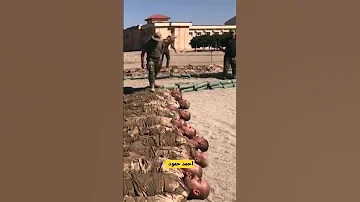 تدريب إبطال الكلية العسكرية 