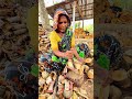 বৃদ্ধ বয়সে গাছের ছাল তুলা দেখুন#tending #shortvideo #viralshorts