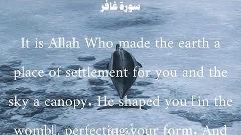 سورة غافر من الأية 62 الى 64 ياسر الدوسري