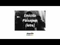 Emicida Paisagem Letra mp3