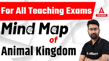 For All Teaching Exams | Mind Map of Animal Kingdom | By Amit Sir