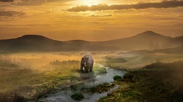 Fast photobashing in procreate / concept art bear