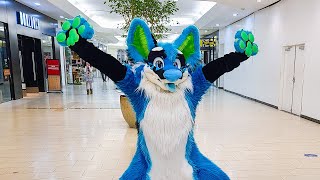 Public Fursuiting INVADE the ALASKA Mall on Halloween