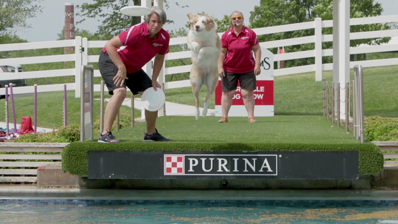 Meet Purina Farms Trainer Deb​