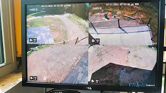 Catching Trespassers - Reolink Homestead 4K Security Cameras