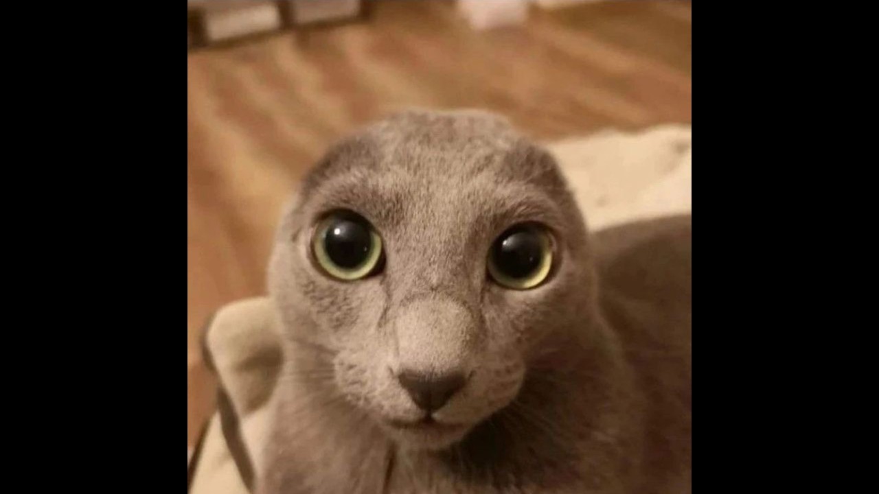 4:40 fort pb ft 6:18 blind pb ft 9:07 sh pb ft 11:56 finish