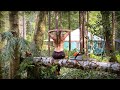 LIVING ALONE OFF GRID | YURT Threatened By HUGE TREE | SEAWEED COMPOST for GARDEN - Ep. 91