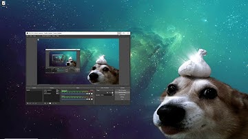 MRobSwag Scripts: How To Whitelist!