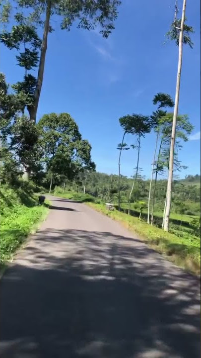 TES RIDE SENDIRIAN DI JALAN PERSAWAHAN | HALU STORY #shorts  #storyhalu #storyig #storywa