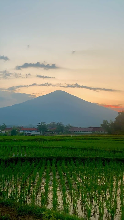 Selamat datang bulan november #youtubeshorts #feedshorts #shorts #nature