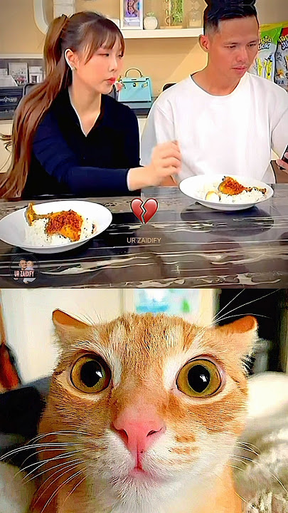 #husnarasiddiqui