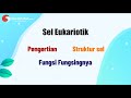 Pengertian, Struktur, dan Fungsi Sel Eukariotik