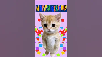 Standing cat singing Happy Birthday