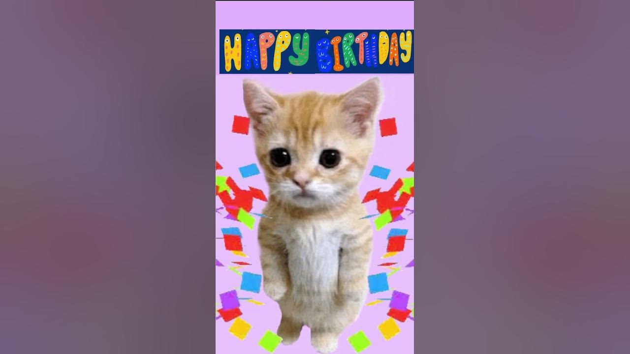 Standing cat singing Happy Birthday