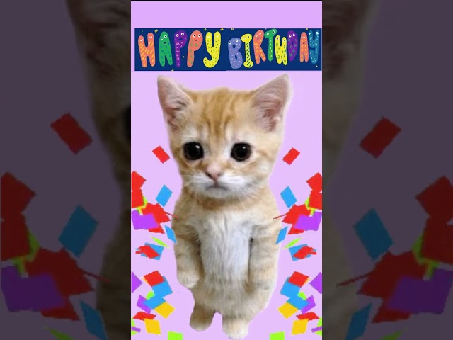 The Purr-fect Happy Birthday Cat Meme for Your Feline Friend 3 sddefault