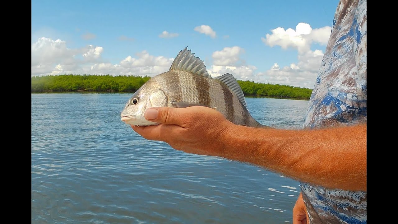 Fun Day Fishing in Spruce Creek