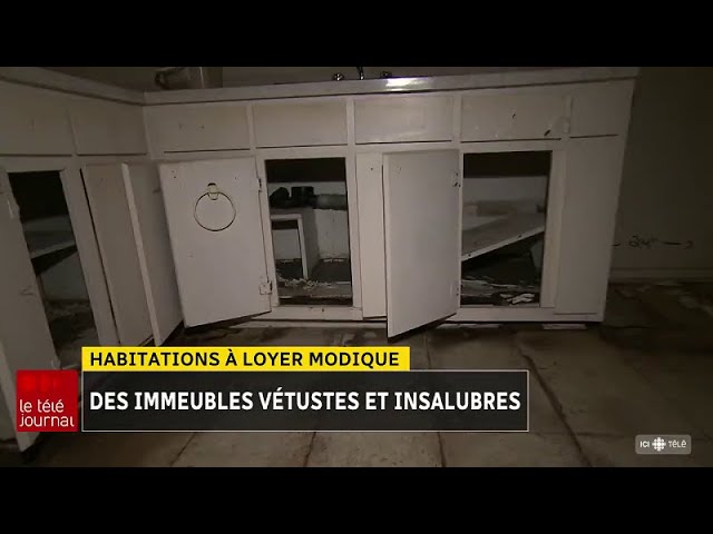 Habitations à loyer modique : des immeubles vétustes et insalubres