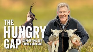 Adam Henson's Farm Diaries Ep2 - How we support farmland birds through the hungry gap
