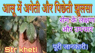 आलू में झुलसा रोग और नियंत्रण।Dangerous disease and control in potato.